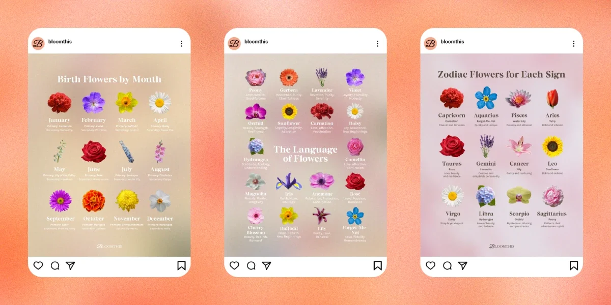 BloomThis Frame-01-02