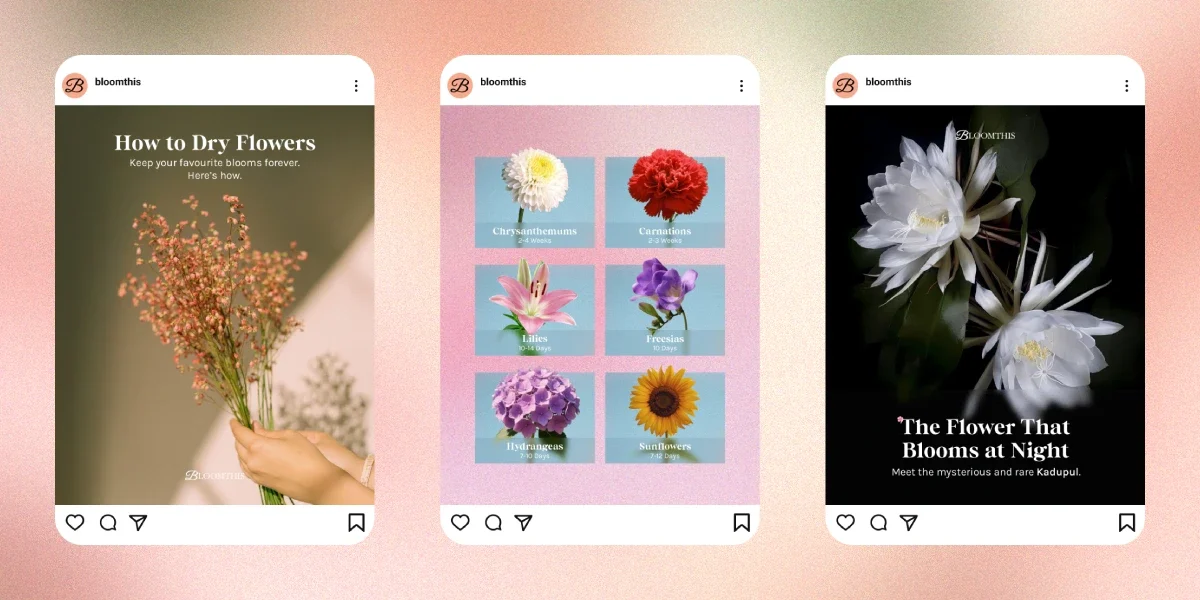 BloomThis Frame-01-03